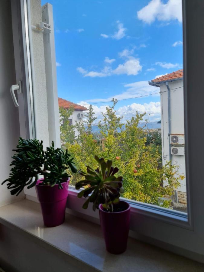 Apartmani Lenka Ugljan Zewnętrze zdjęcie